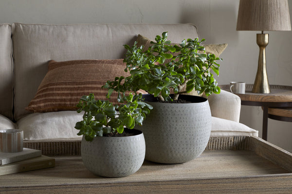 Laoko Planter - Olive Grey