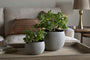 Laoko Planter - Olive Grey