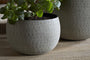 Laoko Planter - Olive Grey
