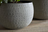 Laoko Planter - Olive Grey
