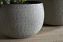 Laoko Planter - Olive Grey
