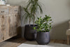 Lmaga Metal Grooved Planter - Aged Black
