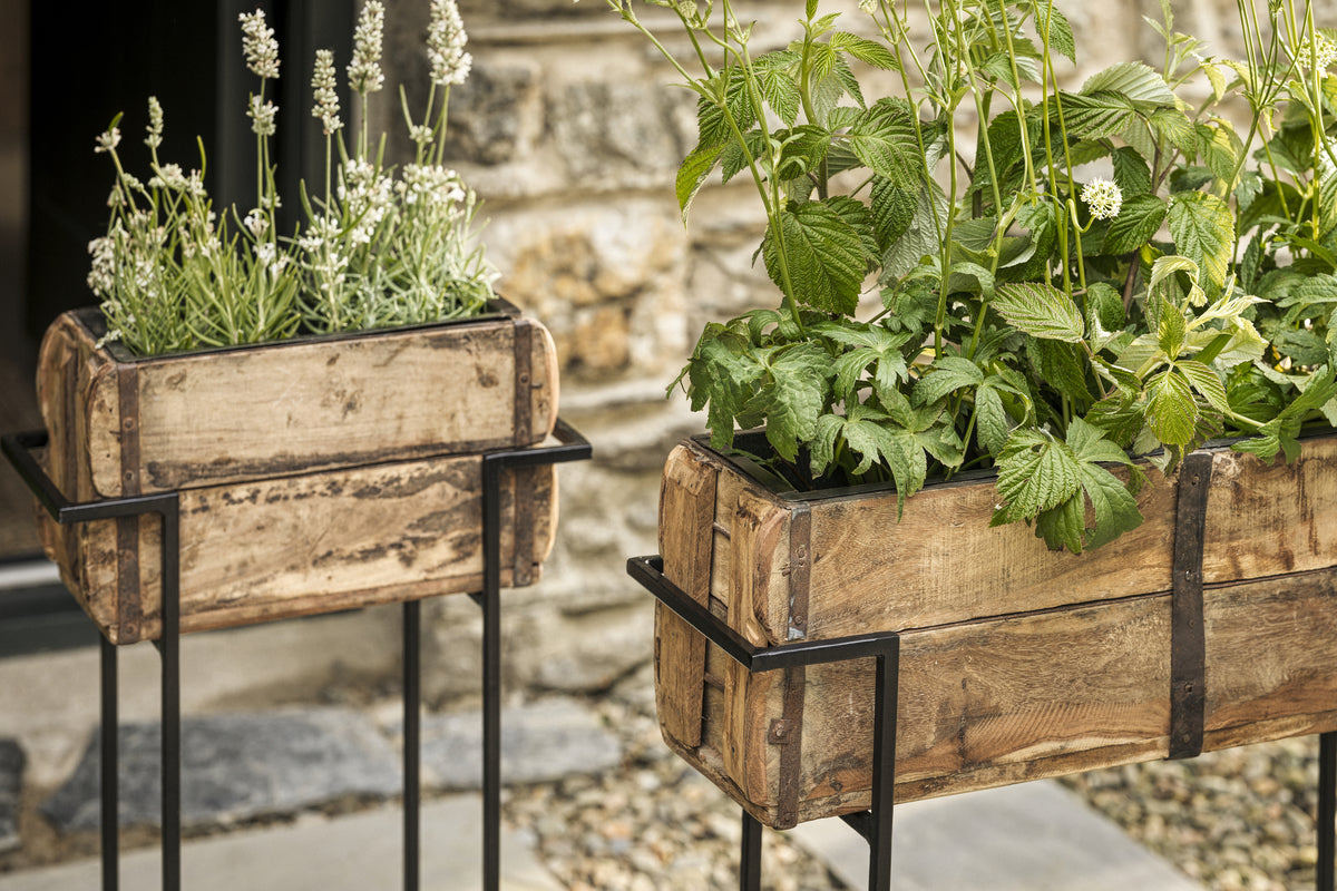 Amazzi Indoor Planter Stand - Natural & Black