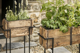 Amazzi Indoor Planter Stand - Natural & Black