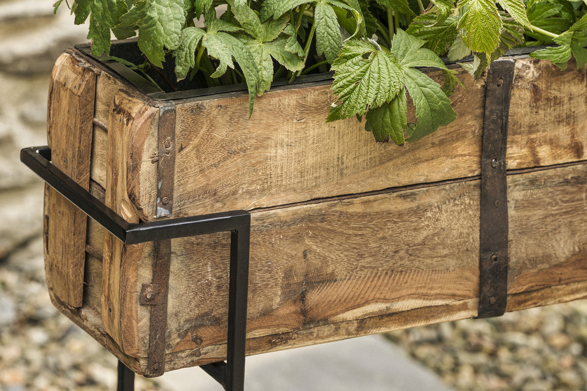 Amazzi Indoor Planter Stand - Natural & Black