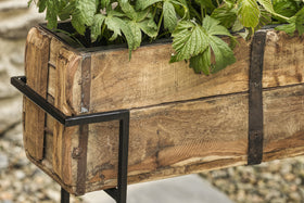 Amazzi Indoor Planter Stand - Natural & Black