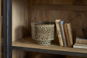 Valin Mango Wood & Glass Cabinet - Natural