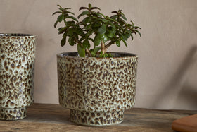 Uzuri Vase - Brown - Tall