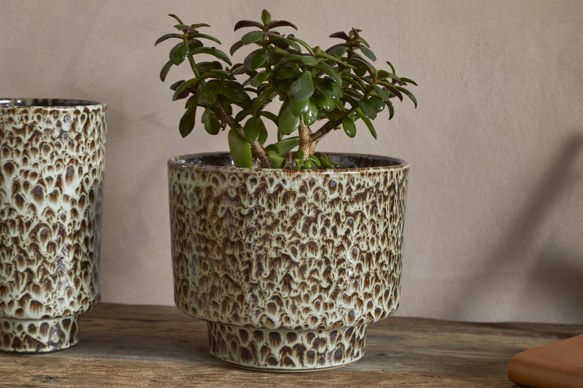Uzuri Vase - Brown - Tall