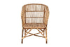 Nesari Rattan Armchair