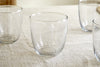 Pani Tumbler - Clear (Set of 4)