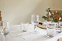 Pani Wine Glass - Clear (Set of 4)