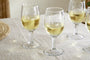 Pani Wine Glass - Clear (Set of 4)