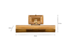 Pania Picture Wall Light