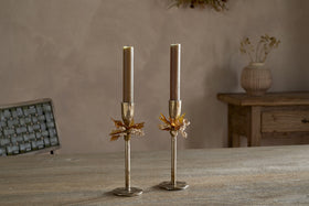 Parili Candle Holder - Ochre - (Set of 2)