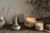 Sea Salt & Moss Reed Diffuser