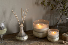Sea Salt & Moss 1 Wick Scented Candle - Aged Smoke - 1 Wick