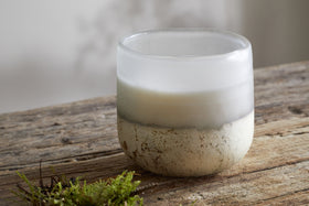 Sea Salt & Moss 1 Wick Scented Candle - Aged Smoke - 1 Wick