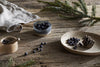 Juniper & Fir 1 Wick Scented Candle