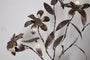 Svara Stem Flower - Antique Brass