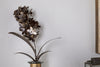 Svara Stem Hyacinth - Antique Brass