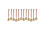 Sardi Star Baubles - Gold (Set of 12)
