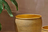 Tembesi Etched Planter - Antique Brass