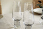 Visla Champagne Flute - Clear (Set of 4)