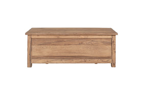 Karadi Reclaimed Wood Storage Bench - Natural