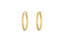 Labani Earrings - Gold