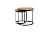 Nisha Carved Reclaimed Wood & Iron Nesting Side Tables - Natural