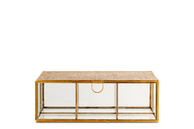 Kijang Jewellery Box - Brass & Clear
