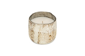 Juniper & Fir 1 Wick Scented Candle - Antique Gold - 1 Wick