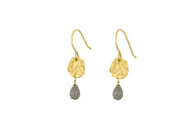 Veera Labradorite Earrings - Gold