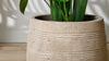 Zadie Terracotta Planter - Natural - Large