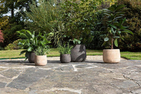 Zadie Etched Ceramic Planters - Grey - (Set of 2)