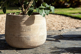 Zadie Etched Ceramic Planters - Neutral - (Set of 2)