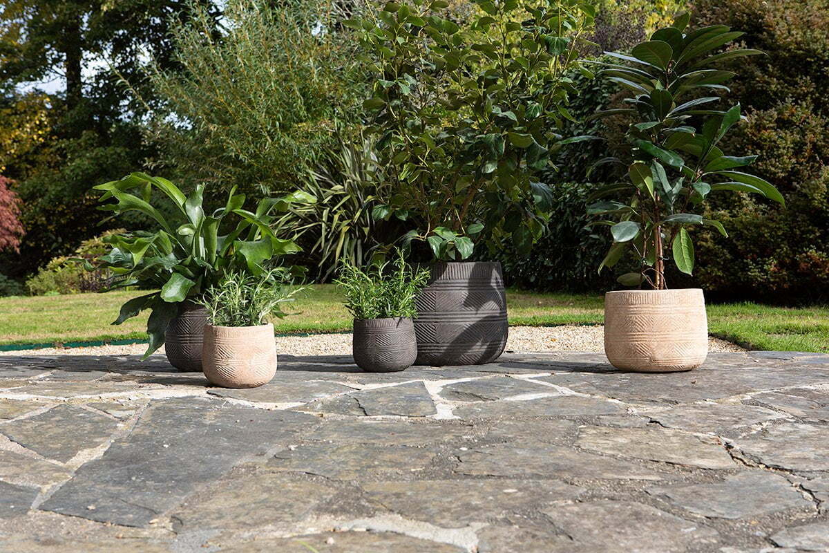 Zadie Etched Ceramic Planters - Neutral - (Set of 2)