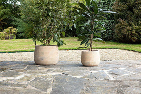 Zadie Etched Ceramic Planters - Neutral - (Set of 2)