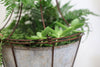 Abari Caged Hanging Planter