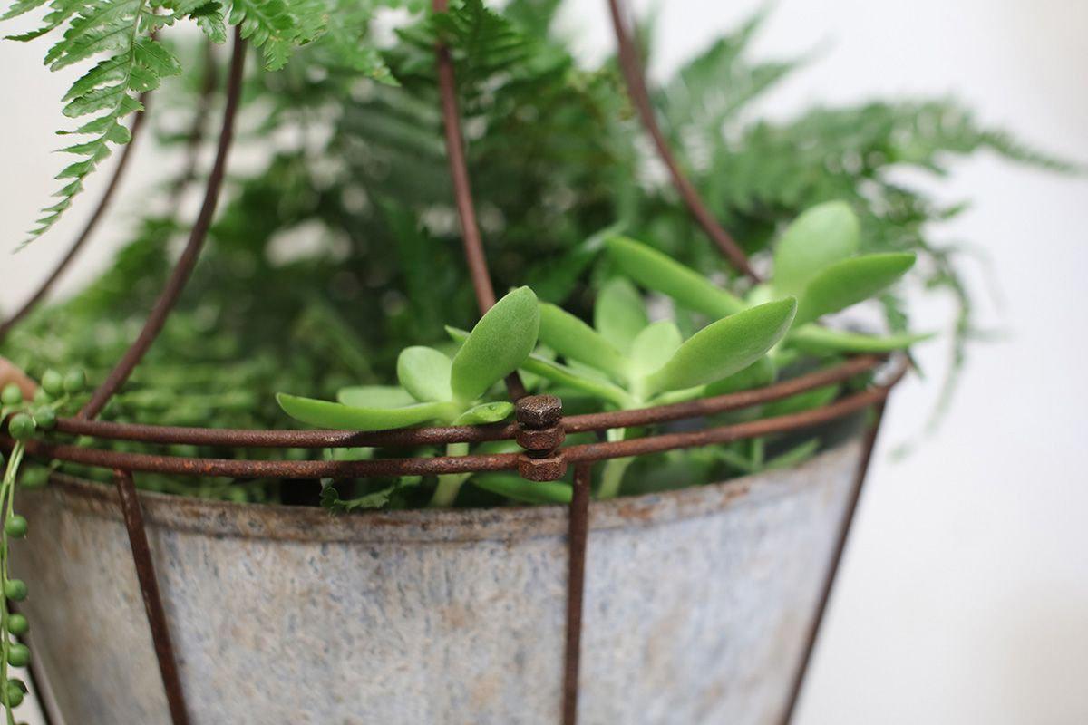Abari Caged Hanging Planter