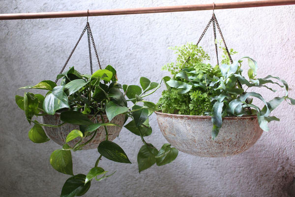 Abari Round Hanging Planter