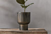 Dasalla Planter - Aged Brass