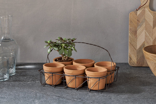 Dilipa Terracotta Multi Planter - Terracotta