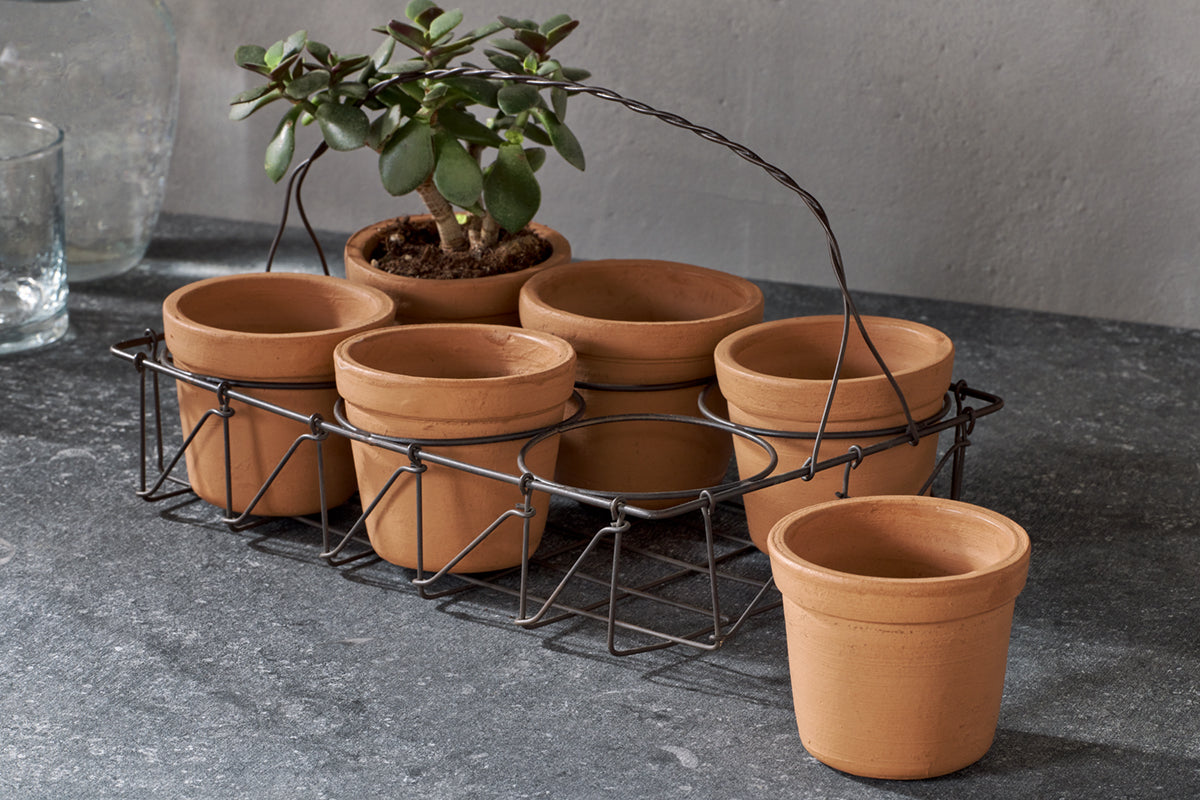 Dilipa Terracotta Multi Planter - Terracotta