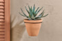 Jara Single Wall Hung Planter