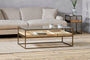 Luzon Iron & Mango Wood Display Coffee Table - Brass