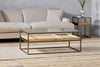 Luzon Iron & Mango Wood Display Coffee Table - Brass