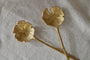 Prakriti Leaf Salad Servers - Brushed Gold (Set of 2)