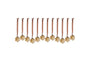 Sardi Star Baubles - Gold (Set of 12)